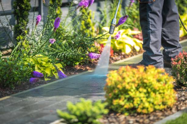 Best Dumpster Area Cleaning  in Charlotte, MI